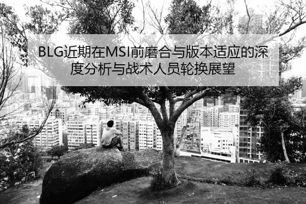 jin-qi-zai-qian-mo-he-yu-ban-ben-shi-ying-de-shen-du-fen-xi-yu-zhan-shu-ren-yuan-lun-huan-zhan-wang-2-352.jpg